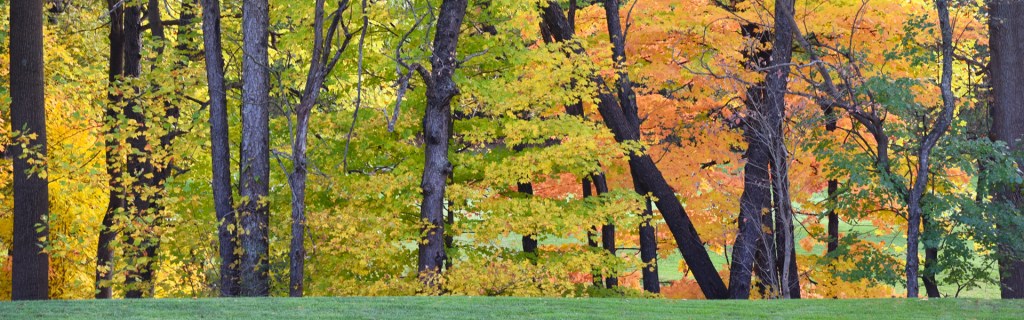 Colorful fall beauty at Bunker Hill